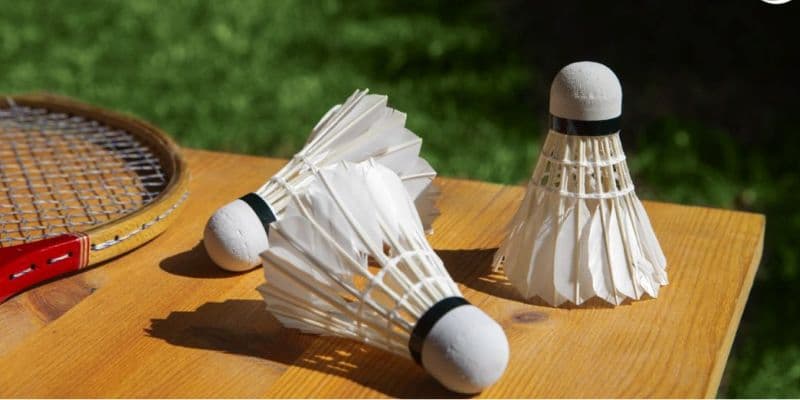 Cá cược cầu lông VB777: Luật cược và mẹo soi kèo hiệu quả 2 Cá cược cầu lông tại VB777