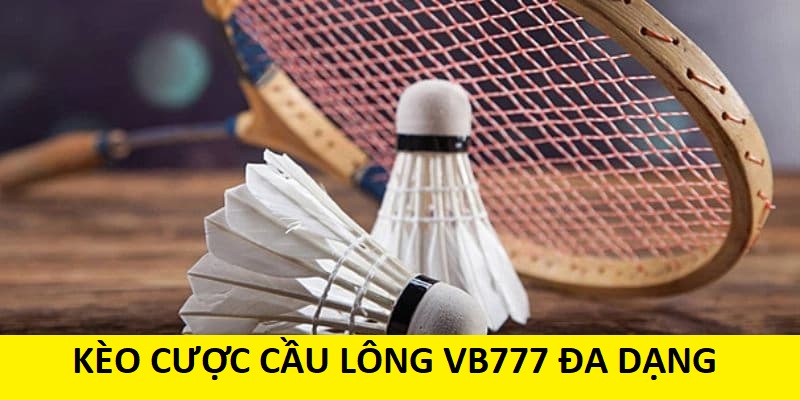 Cá cược cầu lông VB777: Luật cược và mẹo soi kèo hiệu quả 4 Kèo cược cầu lông tại VB 777 đa dạng