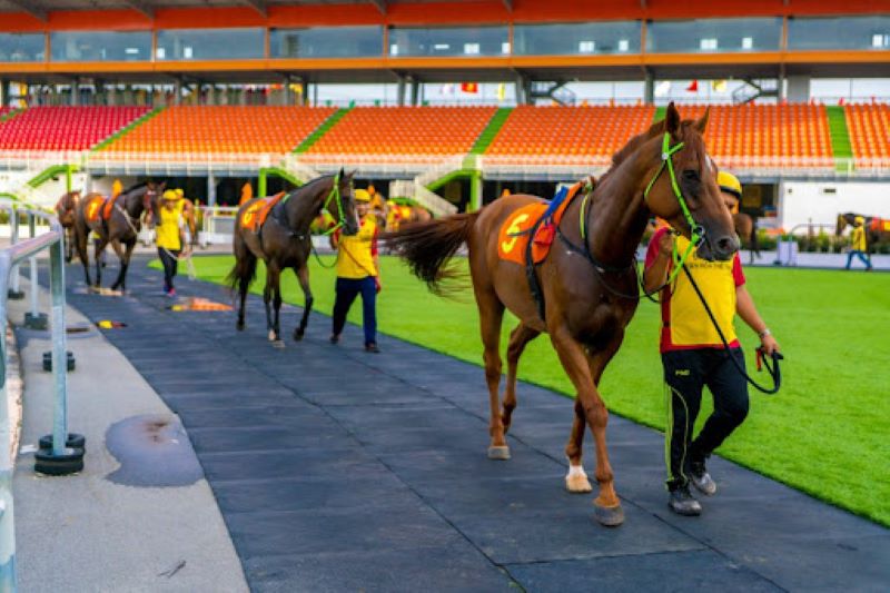 Cá Cược Đua Ngựa VB777 – Cảm giác thăng hoa, rinh tiền thưởng khủng 1 Cá Cược Đua Ngựa mở ra cơ hội chiến thắng lớn từ các tỷ lệ cược hấp dẫn